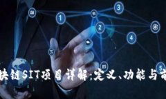 区块链SIT项目详解：定义、功能与前景