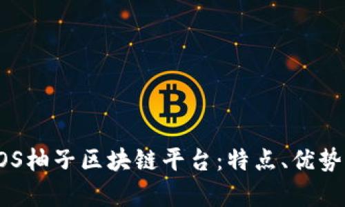 全面解析EOS柚子区块链平台：特点、优势与应用前景